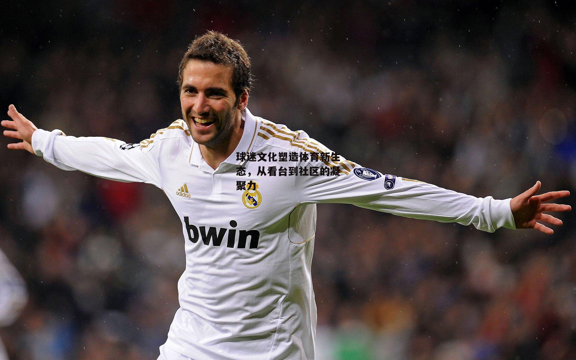 球迷文化塑造体育新生态,从看台到社区的凝聚力